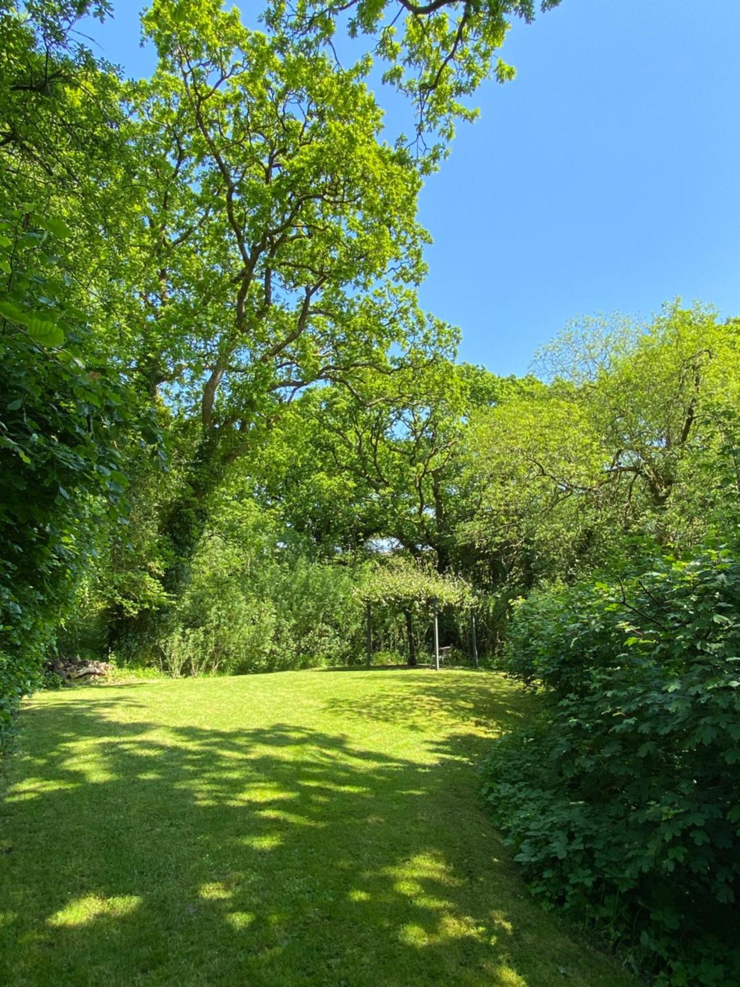 Petrock Holiday Cottages Newton Saint Petrock Quarto foto